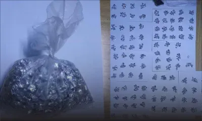 Opération de l’ADSU : 1 282 doses de drogue synthétique saisies à Flacq