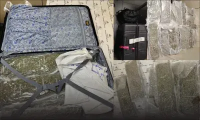 Plaisance : 62,5 kilos de cannabis d’une valeur de Rs 94,5 millions saisis, trois suspects arrêtés