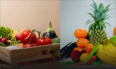 SICOM Group organise une expo-vente pour la Journée mondiale de l’environnement ce vendredi 
