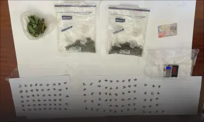 Opération de l’ADSU : neuf plants et 1 190 semences de cannabis saisis à Cité St-Louis