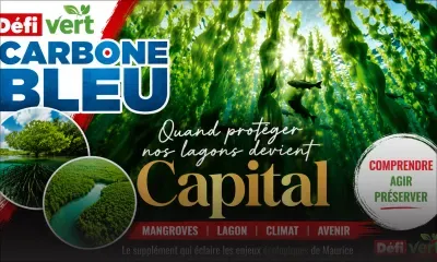 Carbone Bleu : quand protéger notre lagon devient capital