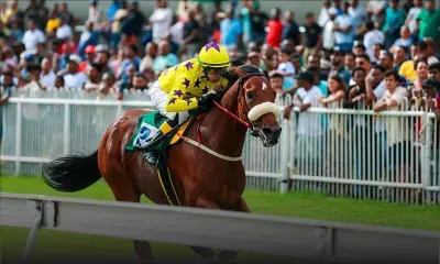 Hippisme - Mauritius Derby annulée : La GRA refuse la dérogation sollicitée par la MTCJC