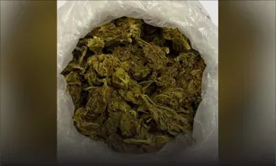 Coromandel : un collégien de 18 ans arrêté avec 102 g de cannabis
