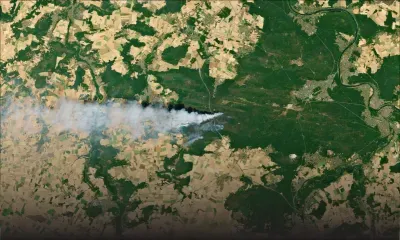 France : plus de 1.300 hectares de la forêt de Fontainebleau brûlés