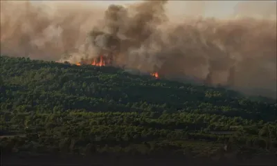 Le sud de la France frappé par un important incendie attisé par les vents