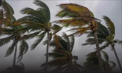 Météo : des pluies intermittentes et des rafales de 60 km/h attendues ce mercredi 