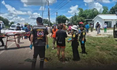 Thaïlande : huit moines bouddhistes tués après qu'un enfant a foncé en camion dans un cortège