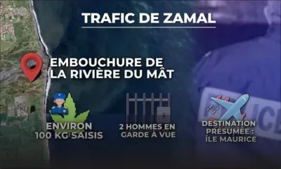 Trafic de zamal entre La Réunion et Maurice : près de 100 kilos saisis, deux suspects interpellés 