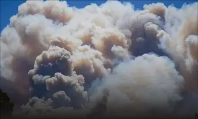 Un feu de forêt fait 12 morts dans le sud de l'Espagne