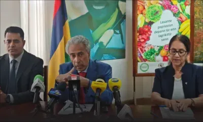Bétail importé du Mozambique : des analyses envoyées en Afrique du Sud  