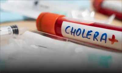 Nouvelle épidémie de choléra au Soudan, 120 morts (OMS)