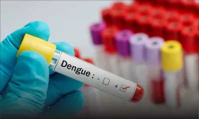 Sri Lanka : une épidémie de dengue fait 49 morts