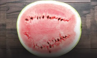 Changement climatique - Fruits locaux : l’impact des averses sur la production