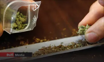 Trafic de drogue - Pravind Jugnauth : «24 000 arrestations depuis 2015» 