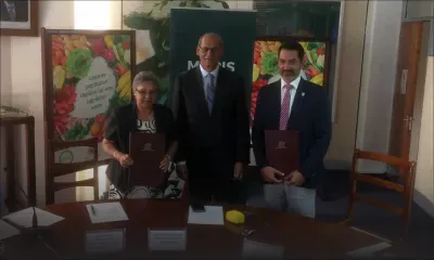 Chiens errants : Rs 13 millions pour stériliser 10 000 chiens