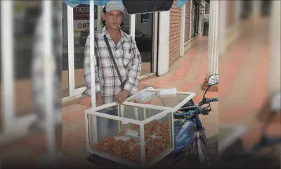 Goyaves de Chine - Rechad Bhuttoo : «Les marchands prennent de gros risques pour faire la cueillette»