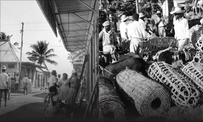 Découvrez les bons plans du week-end (22 - 23 février)