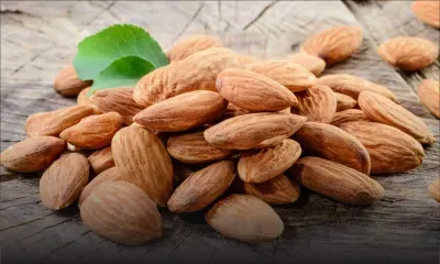 Les bienfaits des amandes sur la santé
