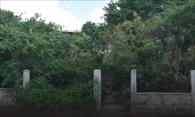 Terrains en friche : le laxisme des autorités décrié