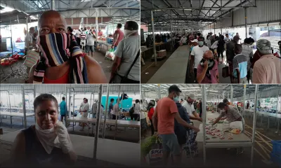 [En images] Quatre-Bornes : les marchés étalent moins de légumes, plus chers 