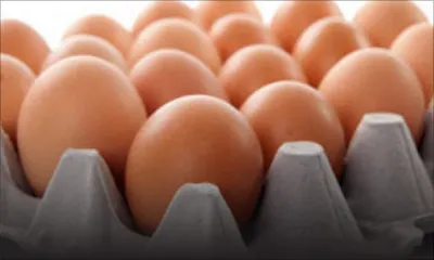Consommation : le plateau d’œufs vendu entre Rs 25 et Rs 50 plus cher