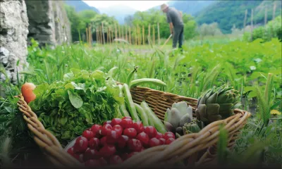 Maurice s’associe avec l’Inde pour promouvoir la culture bio