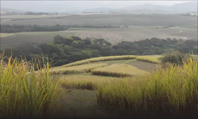 Expansion régionale: Omnicane vise l’Afrique du Sud et le Ghana