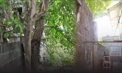 Terrain abandonné à Port-Louis: une octogénaire se plaint de son voisin