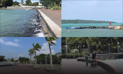 [En images] Un peu de 'vitamine Sea' en temps de confinement ?