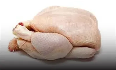 Au premier semestre de l’année - Poulet : la production chute de près de 20 % 