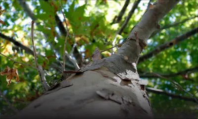 Transition été-hiver : 5 idées pour contrer le froid et rester en bonne santé