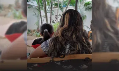 Dans une école privée : une fille de 5 ans insère un feutre dans les parties intimes de sa camarade