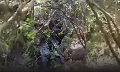 Déchets dans un canal: un entrepreneur montré du doigt