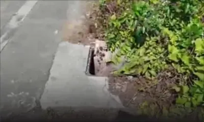 Attention danger sur la route