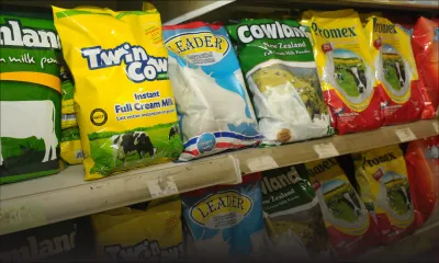 Sondage sur les promos : des remises sur plus de 2500 produits dans le rayon épicerie