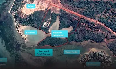 Les Salines Koënig : Franck Julien, président du géant français du nettoyage industriel veut construire un hôtel 5-étoiles et 37 villas