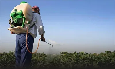 Mahen Seeruttun : ‘We are working on legislation to ensure proper and safe use of pesticide’