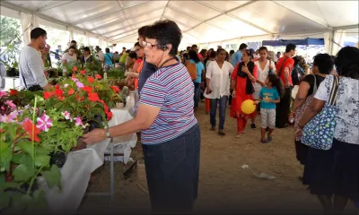 Salon de l’Agriculture à Mahébourg ce week-end