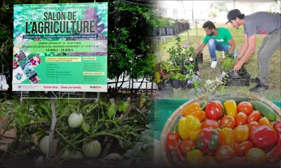 Salon de l’Agriculture : direction Mahébourg pour un nouveau rendez-vous