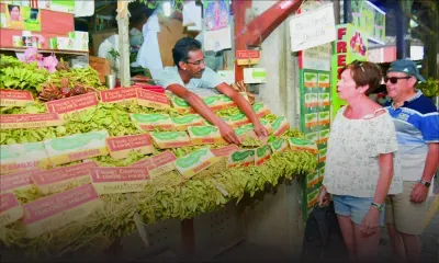 Jay et ses tisanes : l’étal des bienfaits