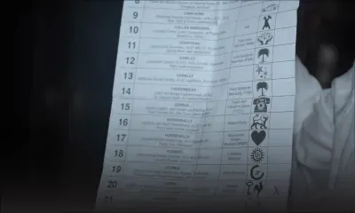 Bulletins de vote dans la nature : les urnes passées au crible