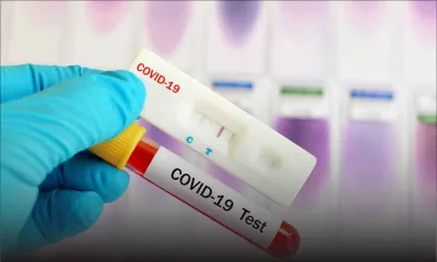 Test antigénique vs PCR : quelle efficacité ?