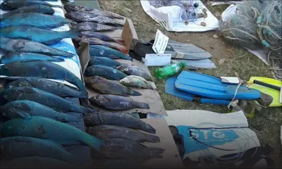 Pêche sous-marine : cinq personnes recherchées