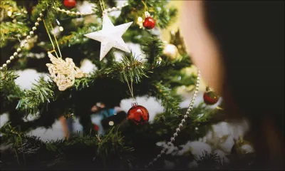 Roi des forêts : les sapins artificiels détrônent les sapins naturels