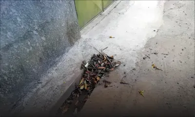 Des débris de la CWA encombrent un drain