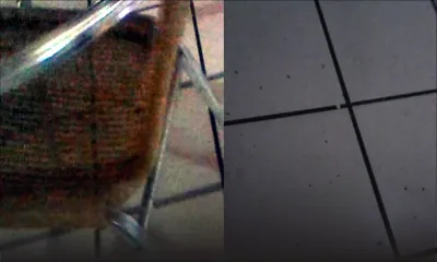 Marché central de Port-Louis: punaises et puanteur pour vous tenir compagnie