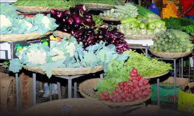 Fruits et légumes: les maraîchers prennent jusqu’à 40 % de marge