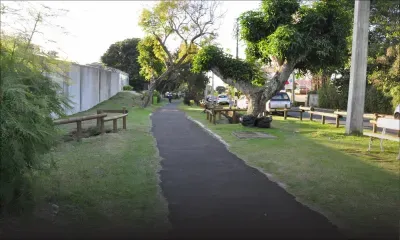 Promenade Roland Armand : 100 arbres transplantés, 134 abattus sur le tracé du Metro Express