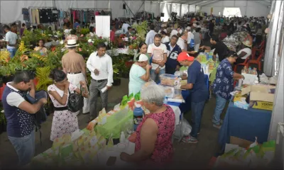 L’accès aux marchés : l’épineux problème des PME