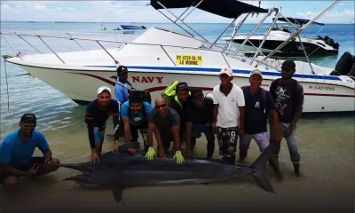 Il est beau notre marlin !